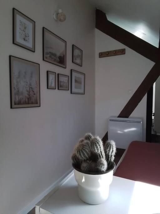 Charmante Petite Maison Vieux  외부 사진